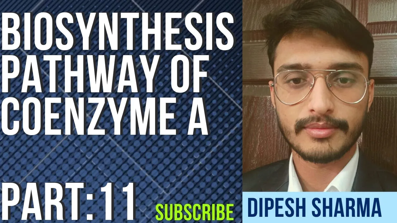 PART 11  Biosynthesis Pathway Of Coenzyme A