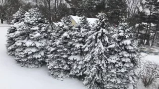 Connecticut Snowfall