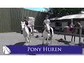 Download Lagu Tessa en Tatum leasen 4 dagen een pony! * Hart voor Paarden *