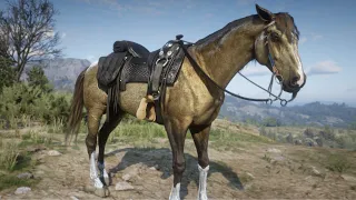 CABALLO DORADO | RED DEAD DREDEMPTION 2