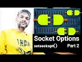 0x1e4 Socket Options - Socket Programming