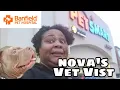 Banfield Pet Hospital PETSMART Nova s First Vet Visit as a Sanders