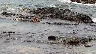 Vlog1 سافرت البادية كل نهار تنمشي الوليدية قريبة لينا بزاف عشاء بدجاج مشوي 