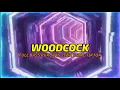 DJ WOODCOK !! ENTE ISI PA AN'A ! AN'A ISI PA ENTE !! FULL BASS PUKULAN JIWA !! VIRAL TIKTOK 2021
