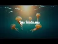 Las medusas: sin cerebro ni corazón, pero dominan el océano