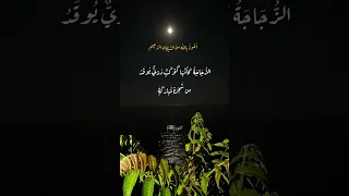الشيخ ماهر المعيقلي النور الله نور السماوات والأرض 