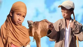 Abbaa Daraartuu Gaalli Rakkise 