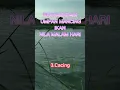 Download Lagu Umpan mancing ikan nila malam hari #shorts