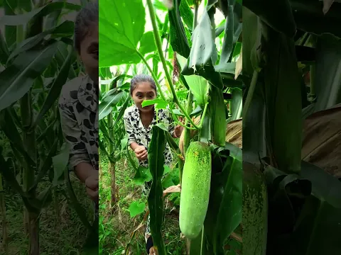Khaiyo ta kakra part 01 #nepalicomedy #entertainment #villagelife