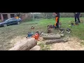 Stihl hexa chain