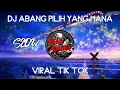 Download Lagu Dj abang pilih yang mana viral tik tok slow
