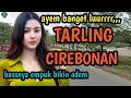 Download Lagu TARLING CIREBONAN_JUARANYA PILIHAN TEPAT HIBURAN SAAT PERJALANAN @toyobringin3238