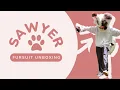 Download Lagu SAWYER FURSUIT UNBOXING! 🐾