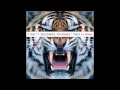 Download Lagu Thirty Seconds to Mars - Kings and Queen #3