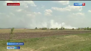 «Вести Омск», дневной эфир от 5 июня 2023 года