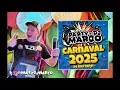 Download Lagu Party-DJ Marco - Carnaval 2025 (De Mixtape!)