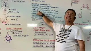 VIRUS - VIRUS - CARACTERÍSTICAS - CLASE EN VIVO - CON EL PROFESOR MÁS DIDÁCTICO DE AMÉRICA LATINA -