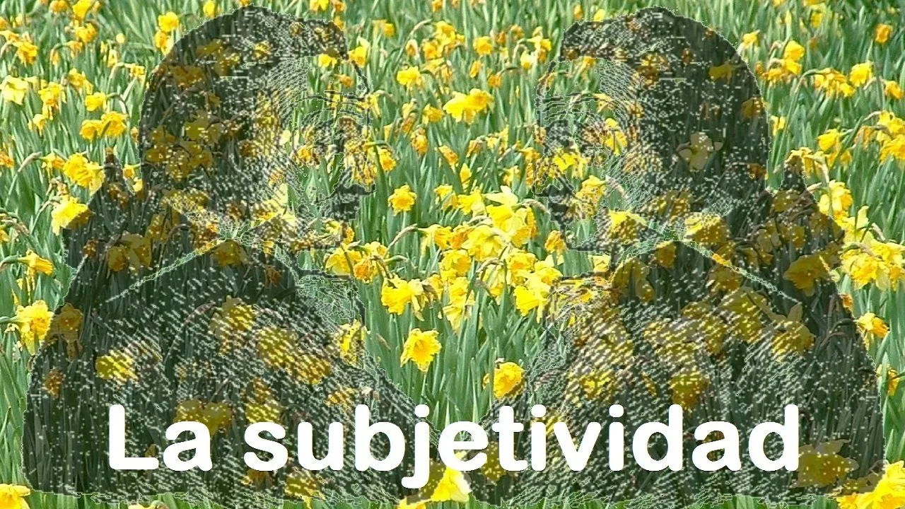 La subjetividad | Luis Carlos Martín Jiménez