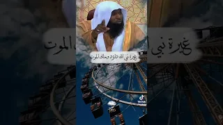 غيره نبى الله داود عل أهل بيته دندنها