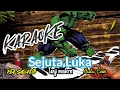 Download Lagu KARAOKE sejuta Luka Tanji Modern Version