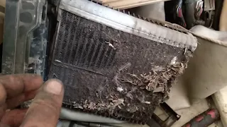 المنظر بعد فك السربنتينه برا شوف الشكل عامل ازاي  المنظر بعد فك السربنتينه برا شوف الشكل عامل ازاي