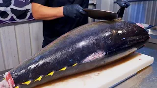 Download World's Sharpest Tuna Knife！Superb yellowfin Tuna cutting skill, Luxurious sashimi / 最鋒利的刀！黃鰭鮪魚切割技能 MP3