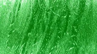 Rain On Glass Green Screen Effect Background HD