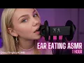 Extreme Ear Eating ASMR - Total 1 Hour Immersion 3Dio