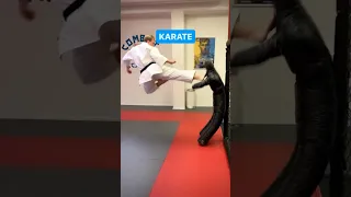 Karate Vs Ameridote 