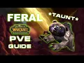 How to sucessfully start as FERAL Druid in TBC TBC Classic Feral Druid PvE Guide