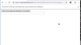 Selenium Wait for element to appear