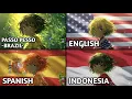 Lagu Passo Bem Solto in Different Languages Version