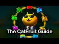 Everything You Need to Know About Catfruit