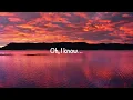 Franni Cash - Jesus All Along (with lyrics)(2026)