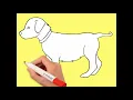 Dog - Colouring