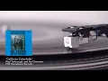 California Cottonfields [1973] - Rual Yarbrough & the Dixiemen