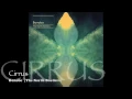 Cirrus - Bonobo [The North Borders] (2013)