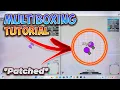 Diep io Multiboxing Tutorial Step-by-Step Guide PATCHED METHOD