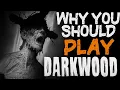 Why You Should Play Darkwood