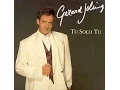 Download Lagu Gerard Joling - Tu Solo Tu (Gold series)