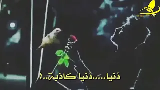 اغنيه تركيه حزينه دنيا ظالمه قاسية حبيتهم جرحوني 