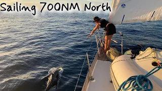 Starting our 700NM Journey North | Sailing Sitka Ep 74