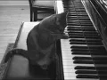 RevengeinKyoto - Falling through petals piano version doomer edit