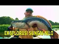 Download Lagu [FULL] EKSPLORASI SUNGAI NILO | MANCING MANIA STRIKE BACK (29/06/25)