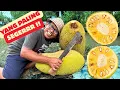 Lagu ES DAWET CINCAU NANGKA SEGERRR!! Menu Buka Puasa Sederhana Nang Desa | Resep Takjil Ramadhan