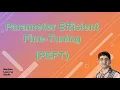Parameter Efficient Fine Tuning PEFT