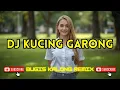 Lagu DJ KUCING GARONG || Bugis Kalong Remix Viral Terbaru 2026