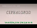 cephalopod - pronunciation in British English three voices accents