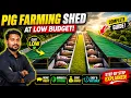 Pig Faming Shed Plan At Low Budget How To Construct Farming Shed For Beginners