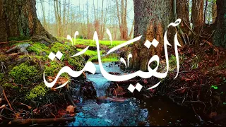 سورة القيامة القارئ محمود جمال 